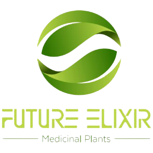 Future Elixir Group